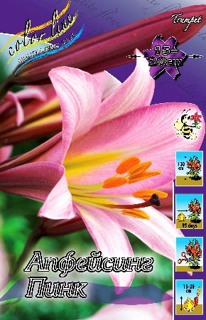 43,44.   (   5 .,   1.).jpg