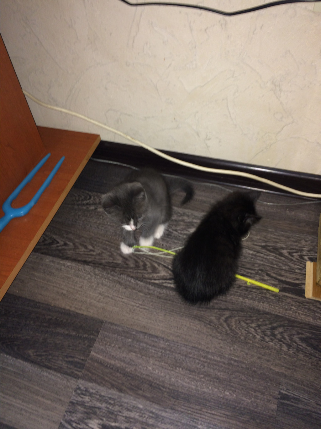 2015-09-11 17.25.57.jpg