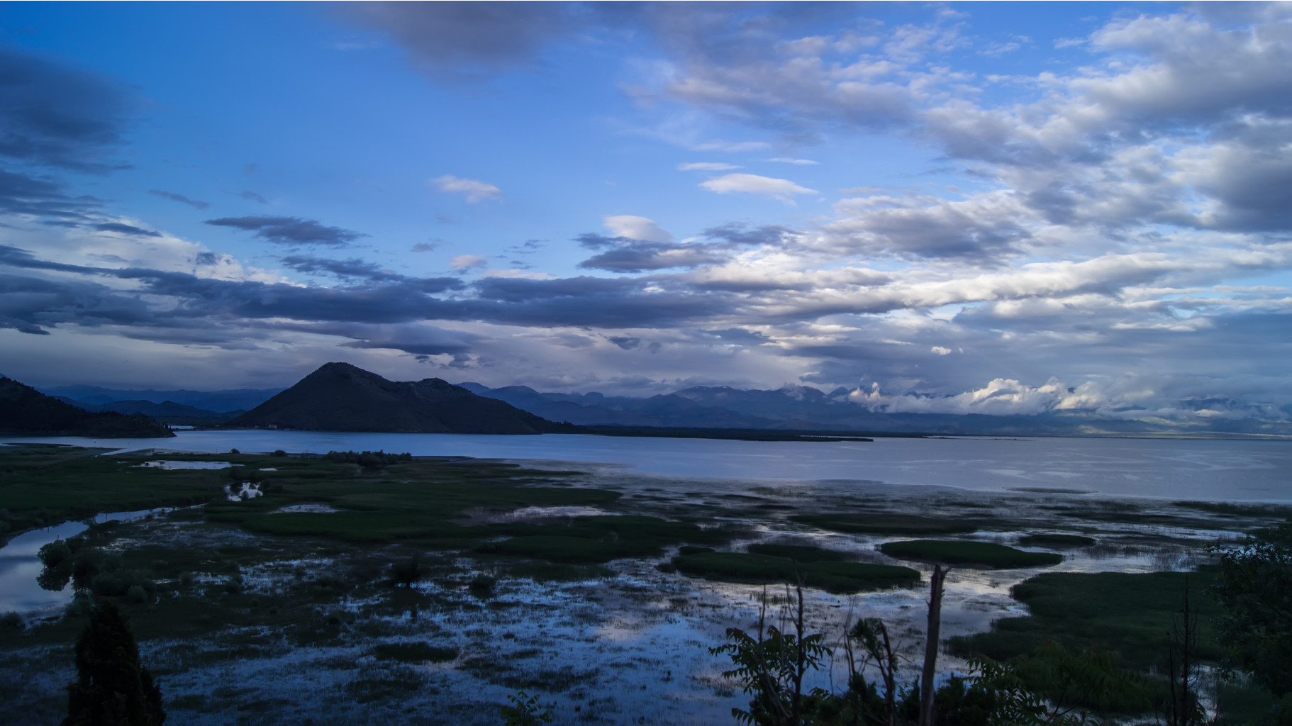 DSC07554.jpg