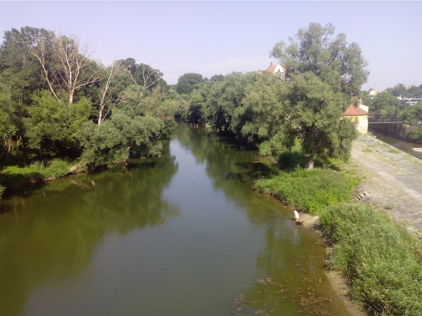 IMG 20150705 175844.jpg
