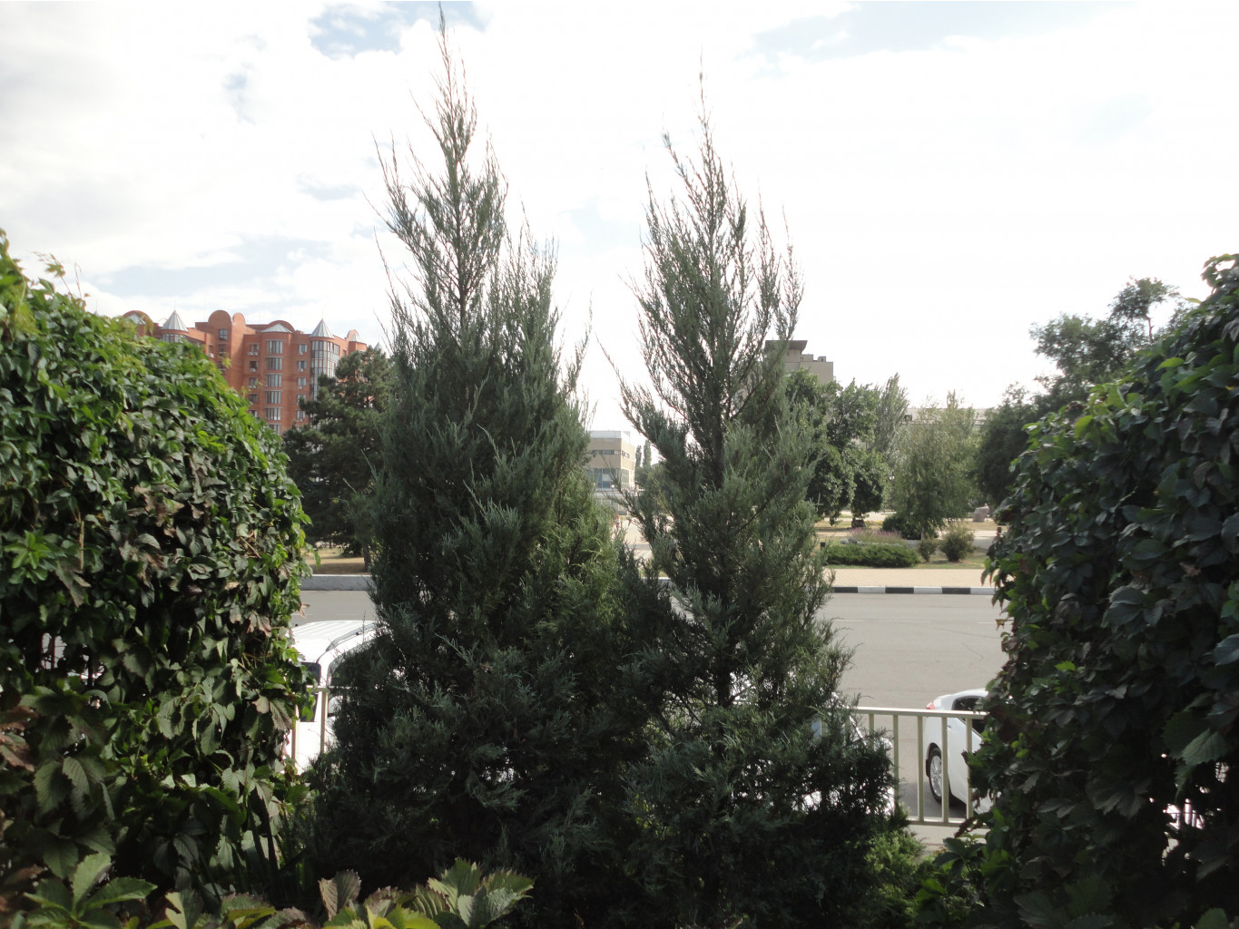 DSC08444.JPG