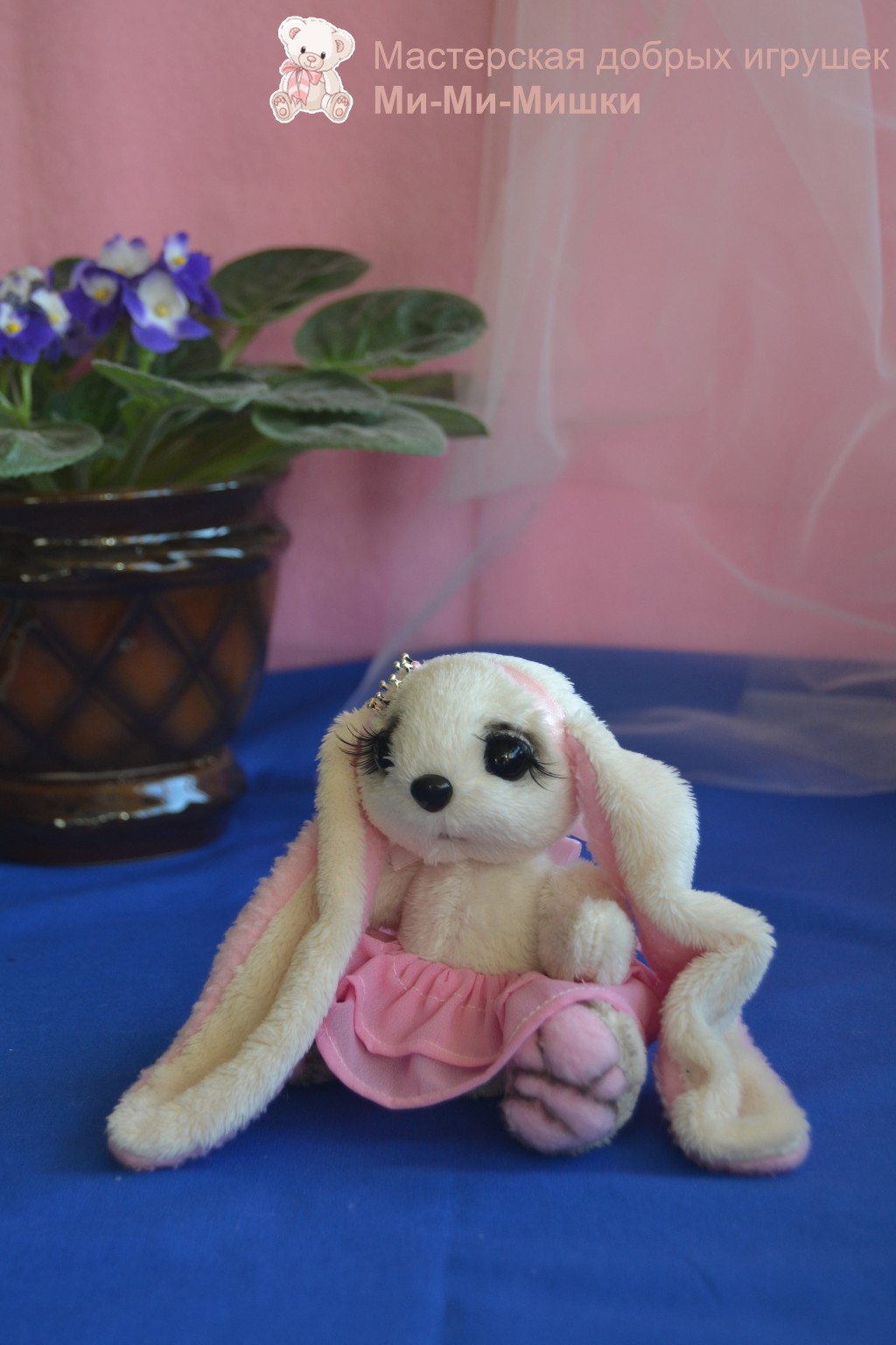 DSC 0385 1.jpg
