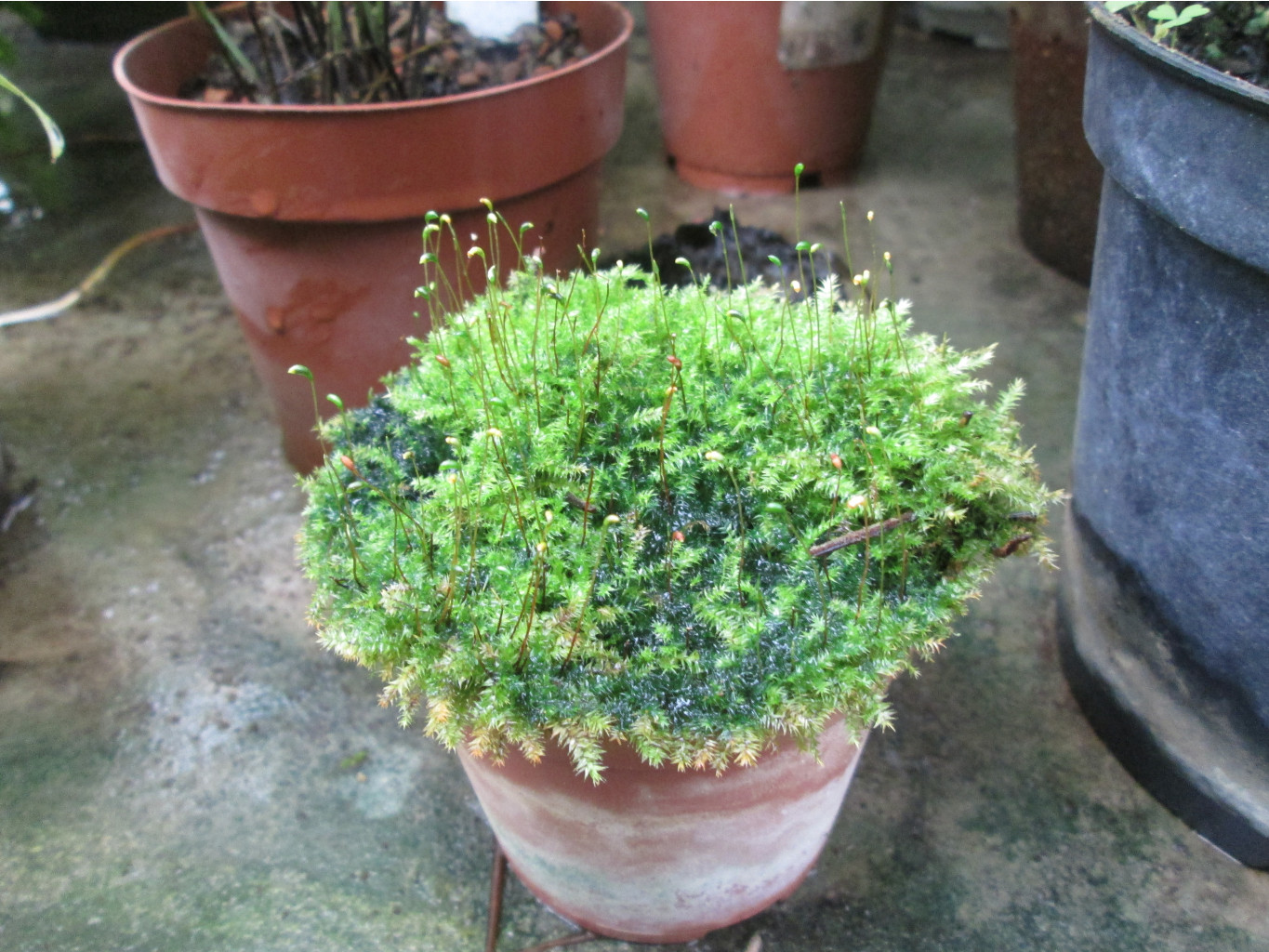 IMG 3911.JPG