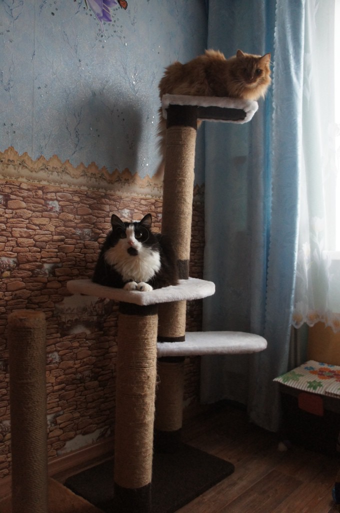 DSC07414.JPG
