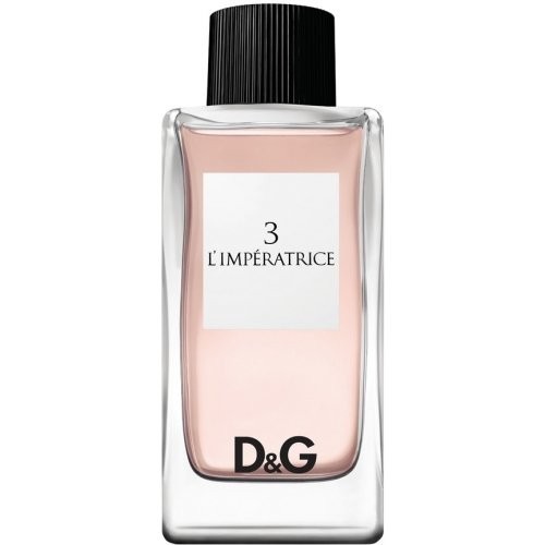  D&G 