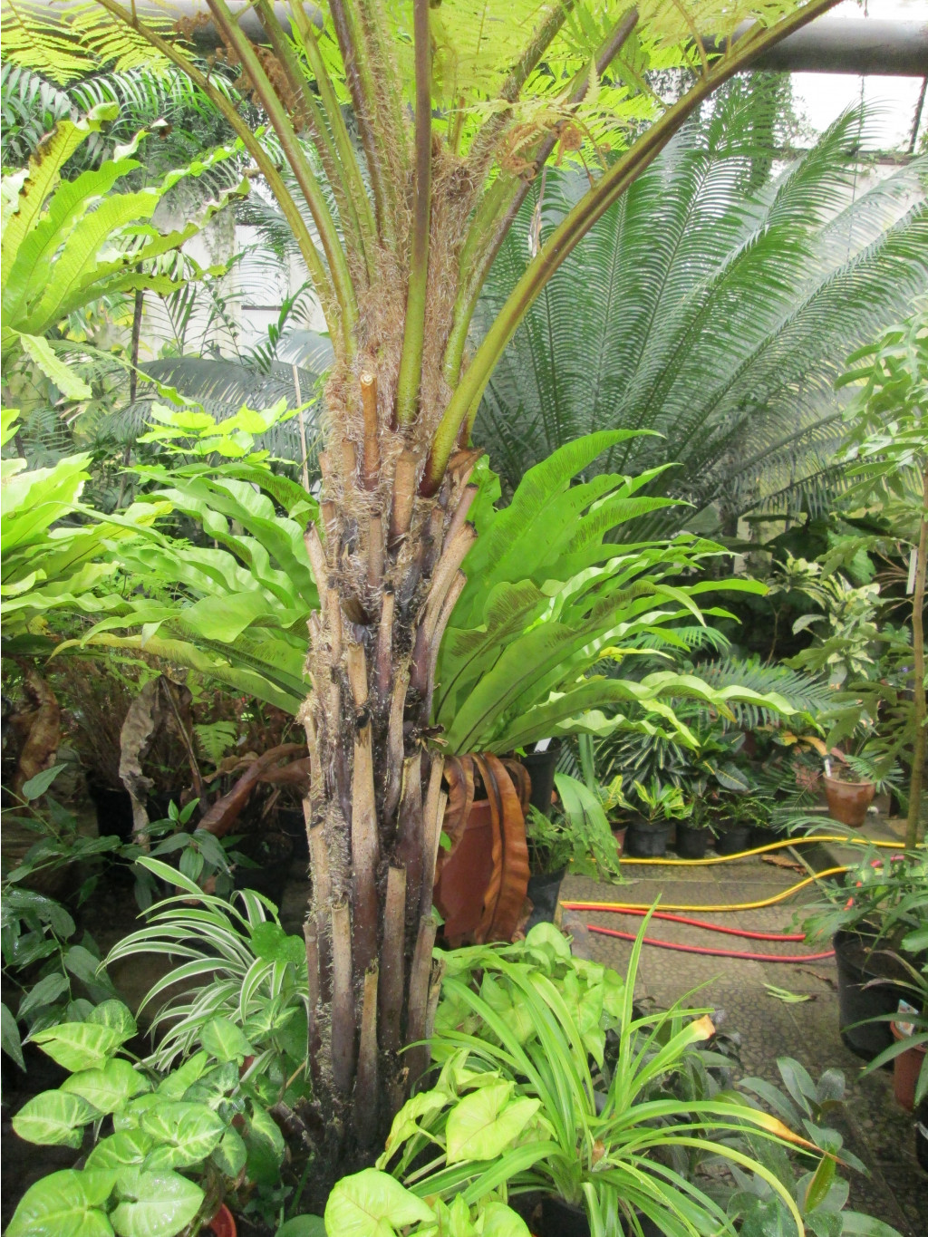 IMG 3848.JPG