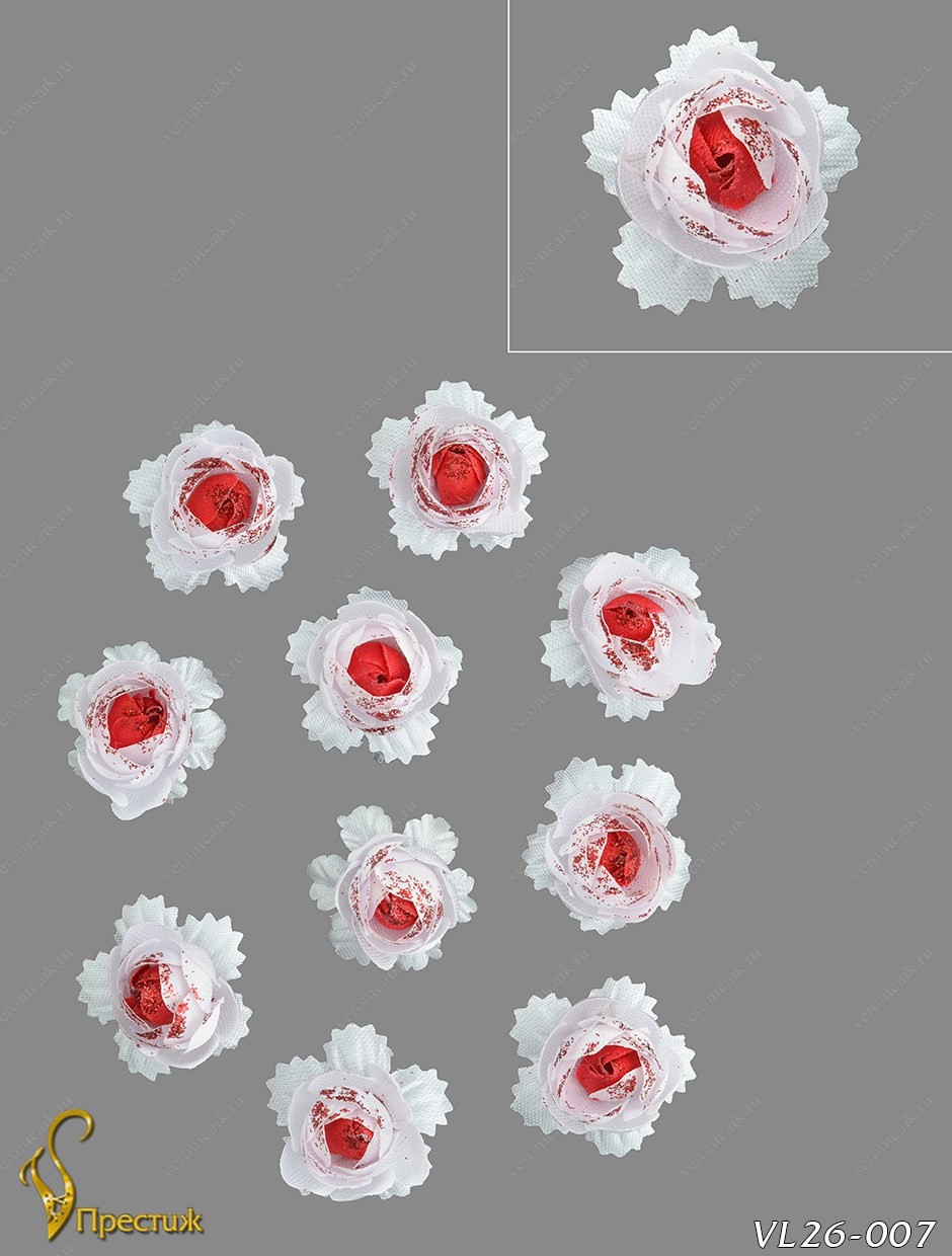 Vl26007-00067 VL26-007 .jpg