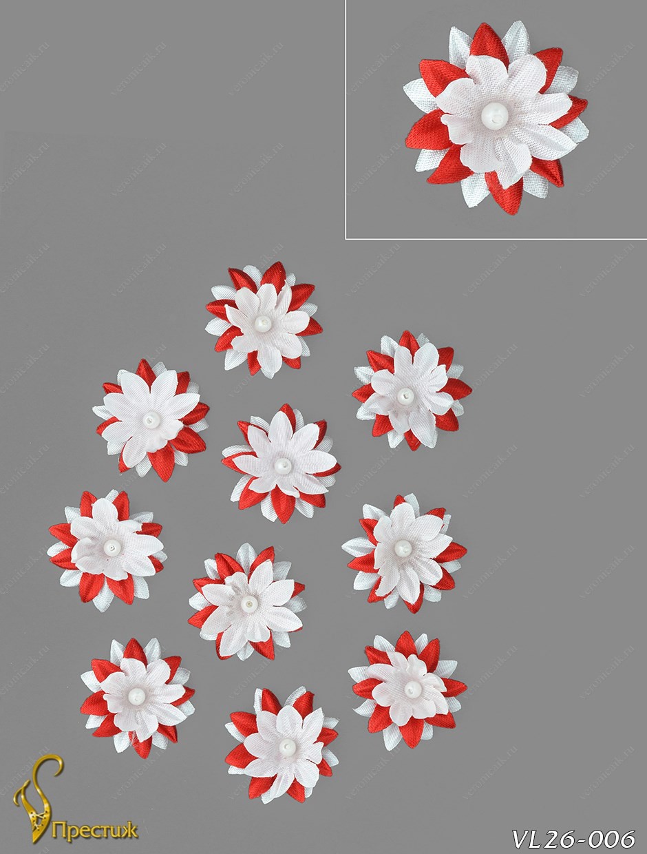 Vl26006-00067 VL26-006  .jpg