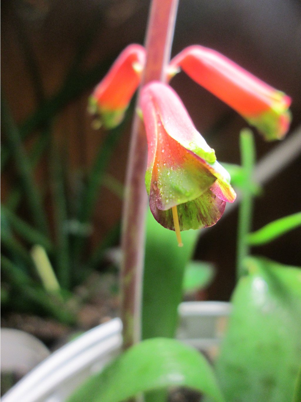 IMG 3941.JPG