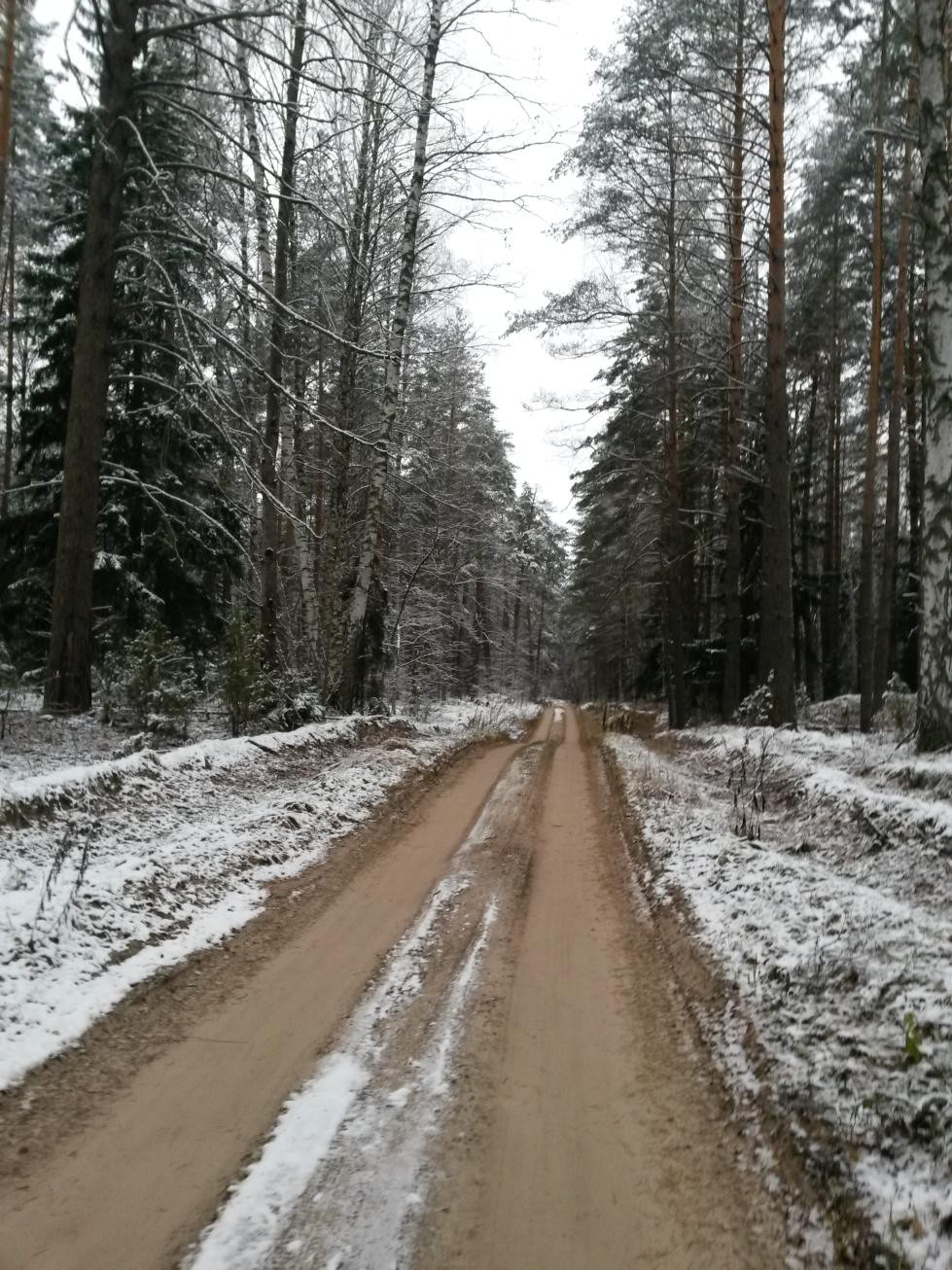 20151115 105959.jpg