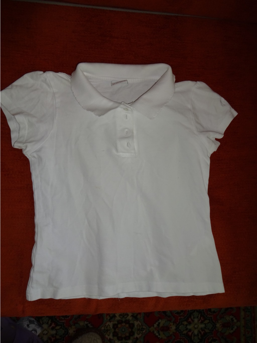 DSC00138.JPG