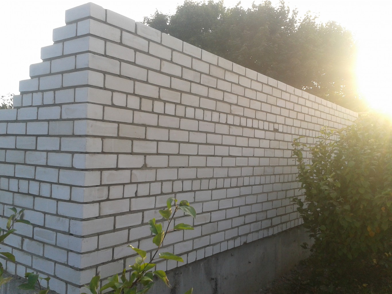 2015-08-28 17.48.24.jpg