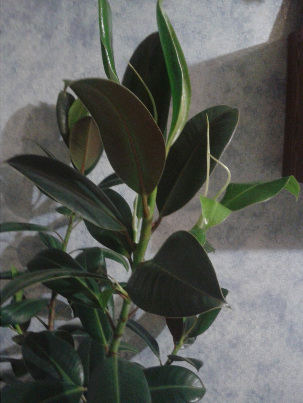 2015-11-01 21.42.50.jpg