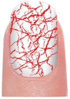 Nail c005.jpg