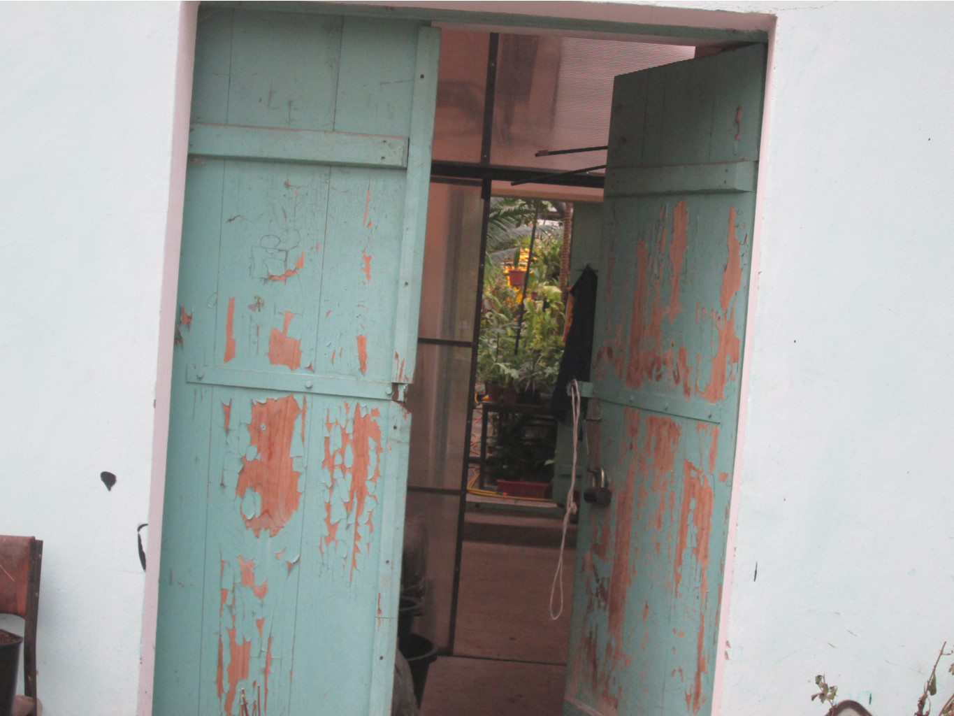IMG 3886.JPG