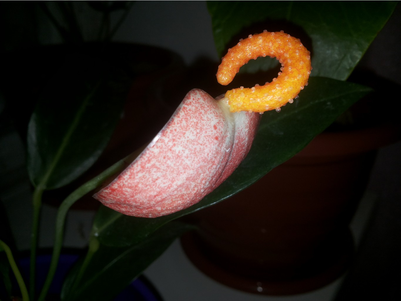 20151113 214716.jpg