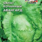 Salat awangard SDK-149-22-ru.jpg