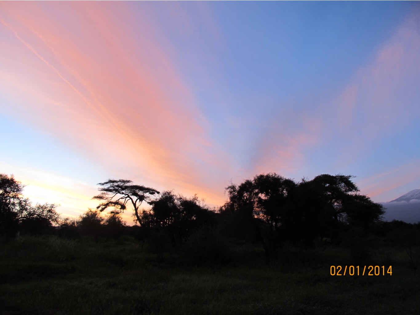 IMG 0908.JPG