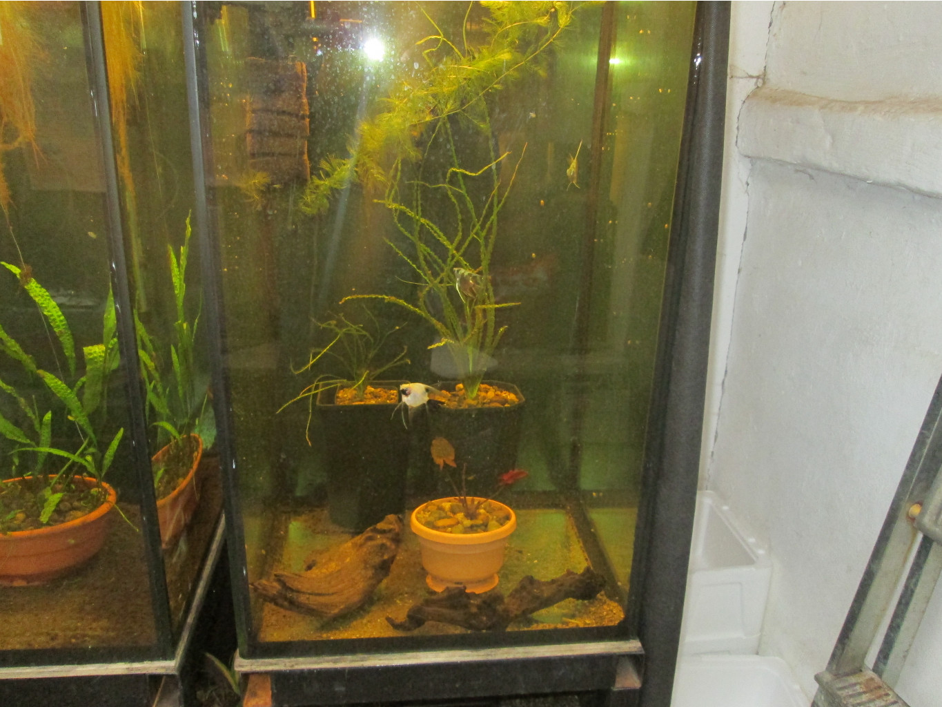IMG 3874.JPG