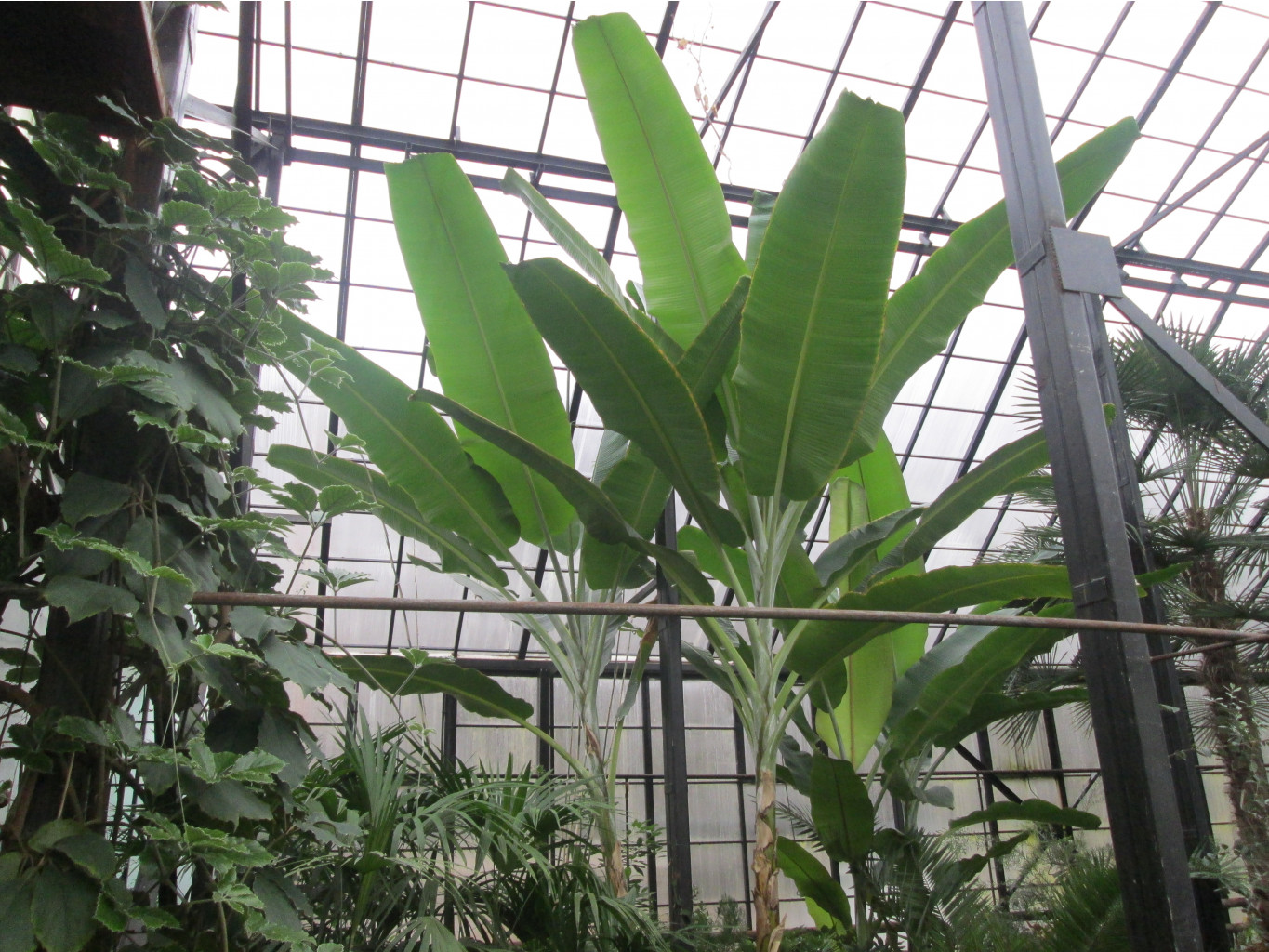 IMG 3780.JPG