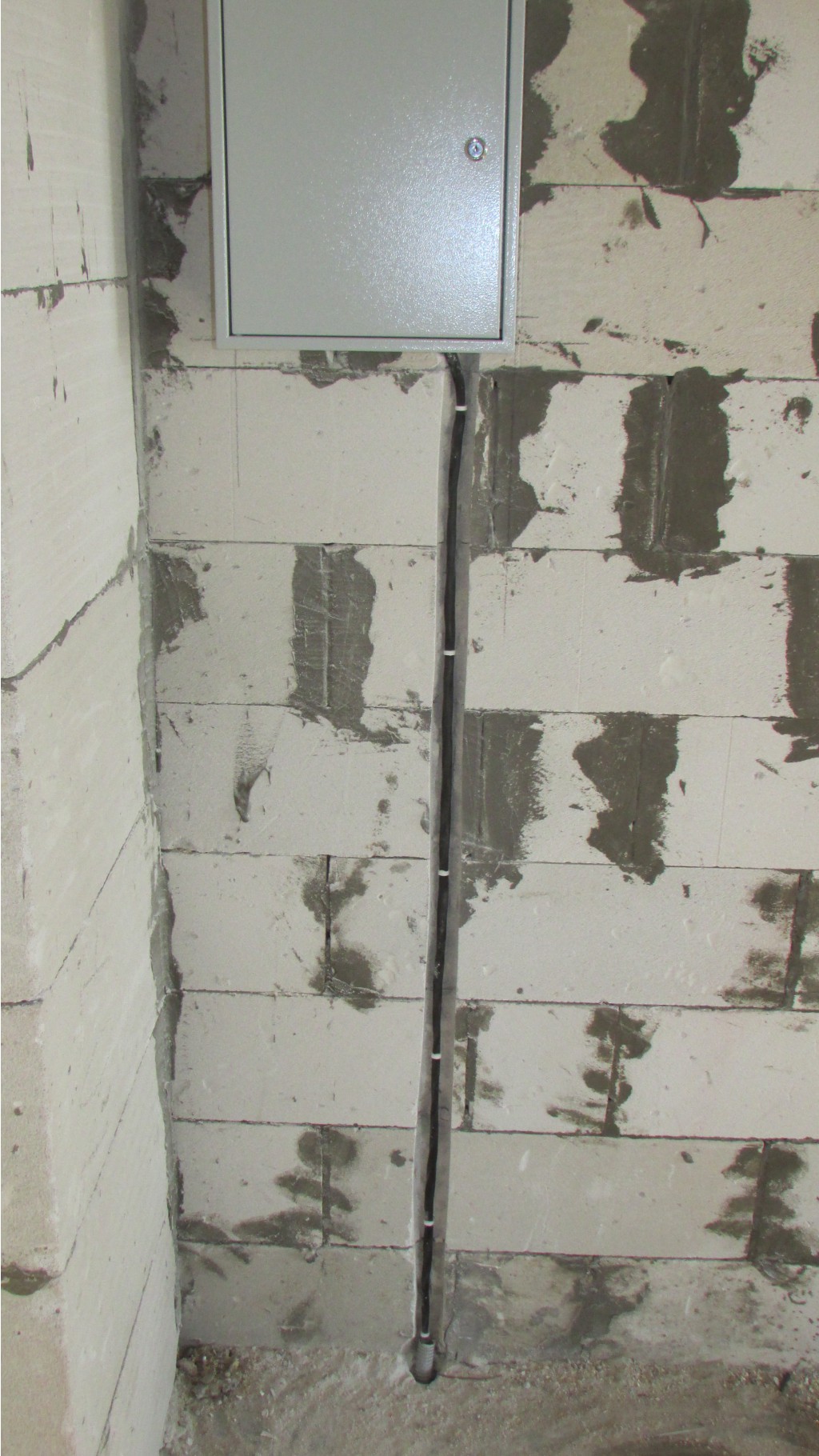 IMG 0048.JPG