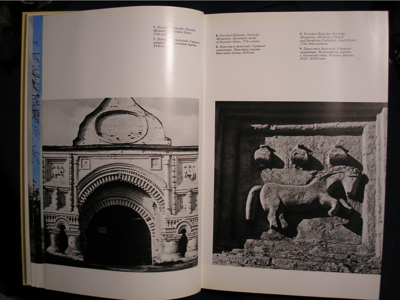 P1010050.JPG