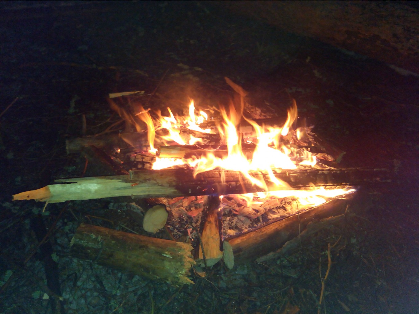 IMG 20151115 175912.jpg