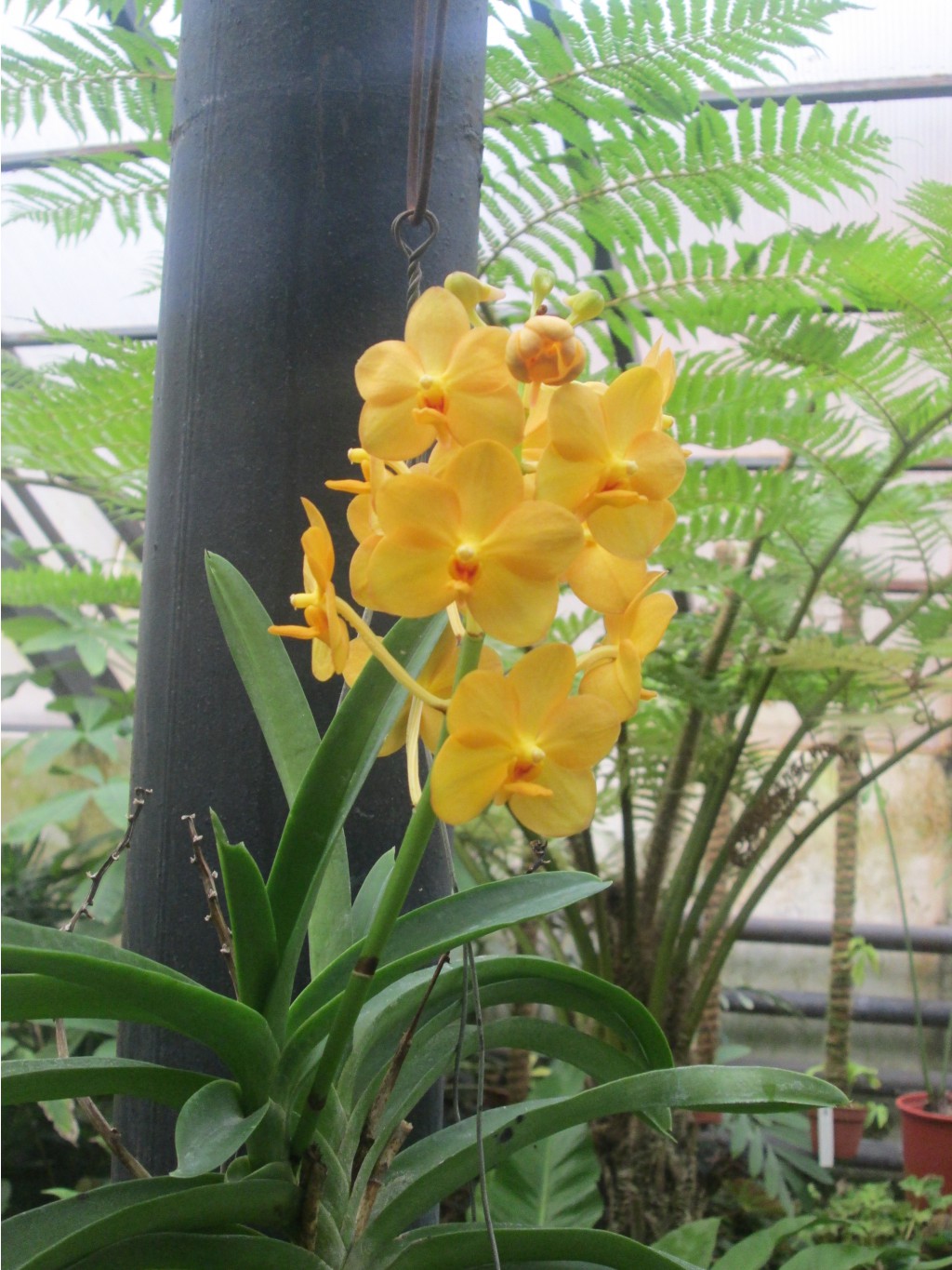 IMG 3896.JPG