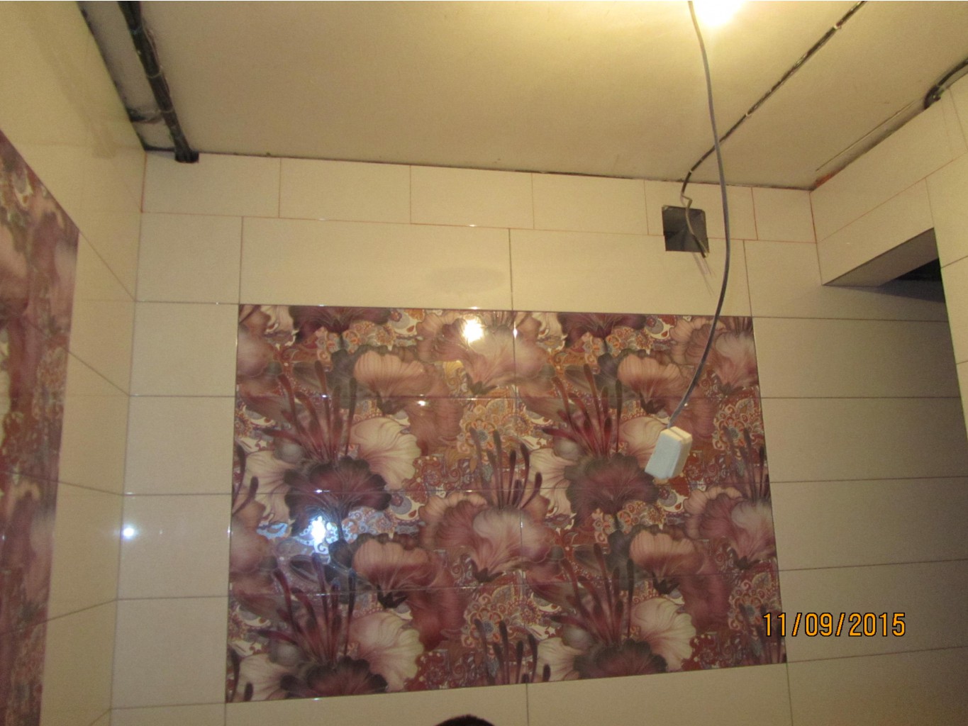 IMG 0060.JPG