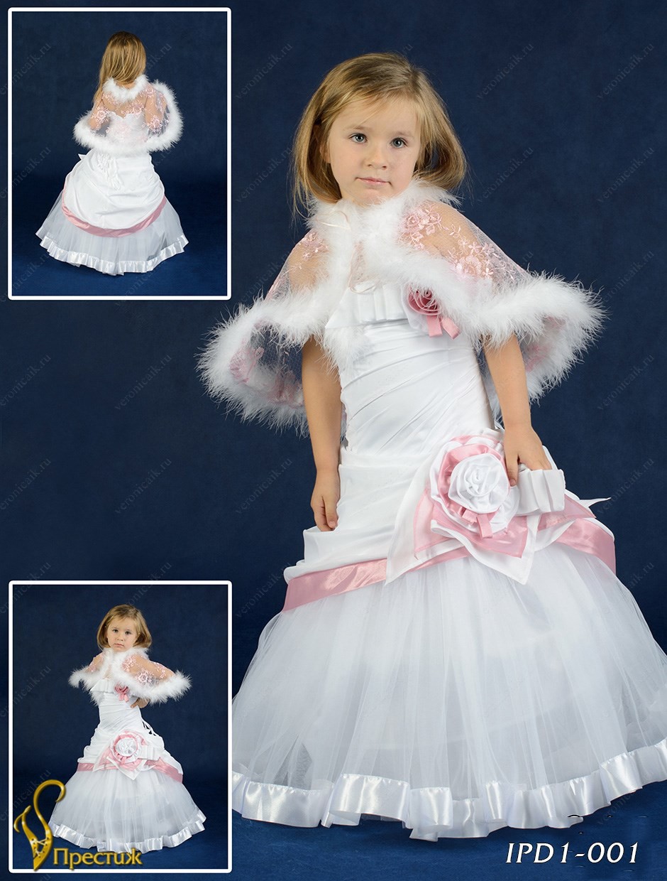 IPD1001-40A76 IPD1-001     450.