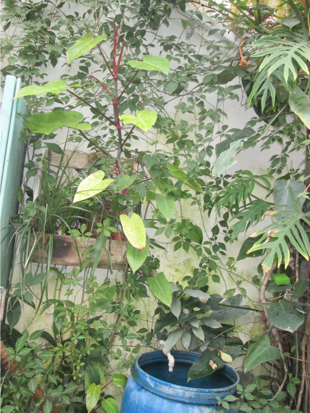 IMG 3877.JPG