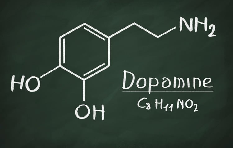 Dopamine-learning-motivation.jpg