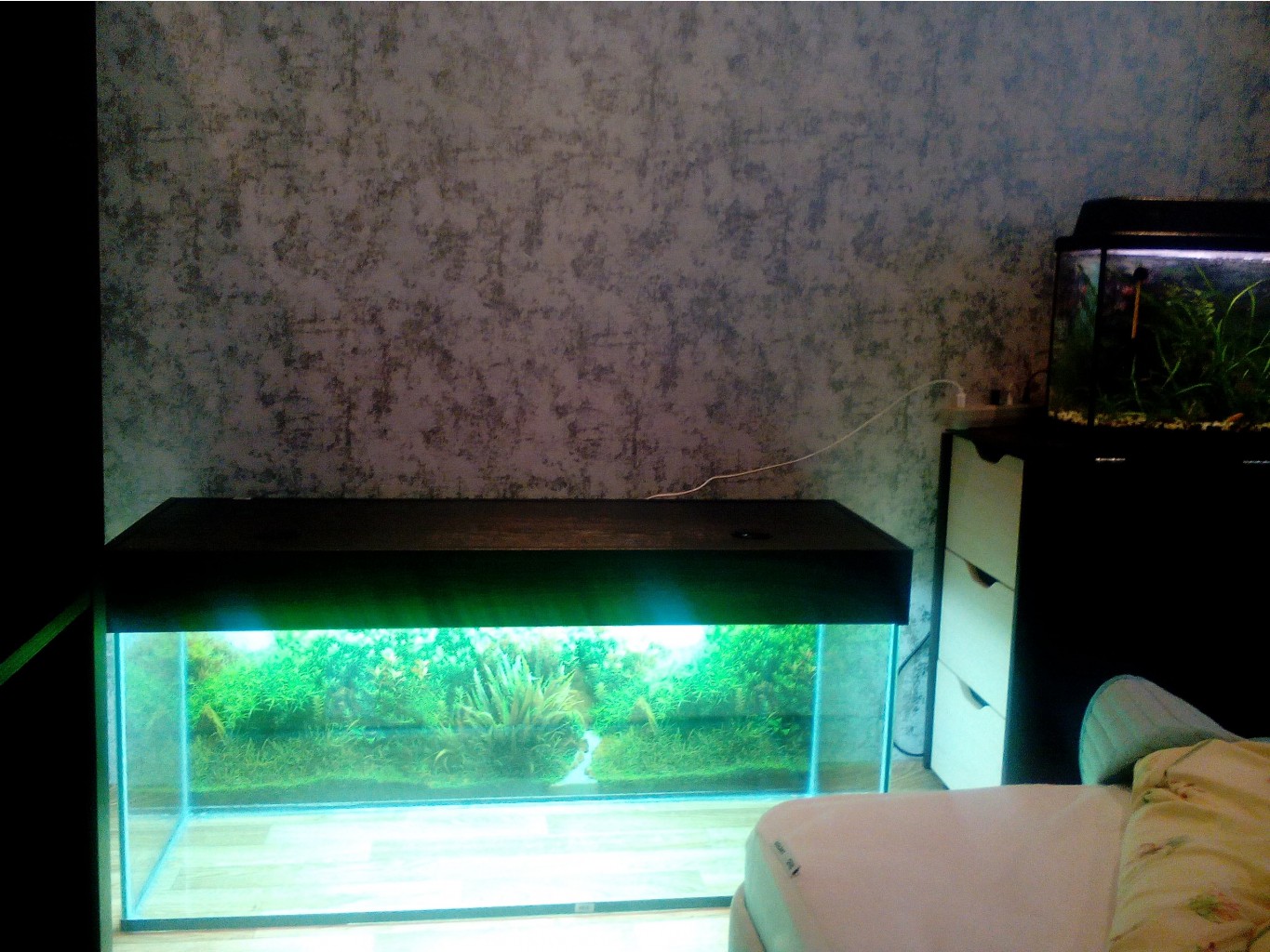 IMG 20151121 145446.jpg