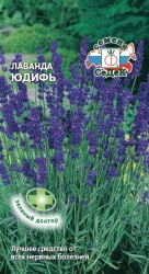 Lavanda-yudif agp .jpg