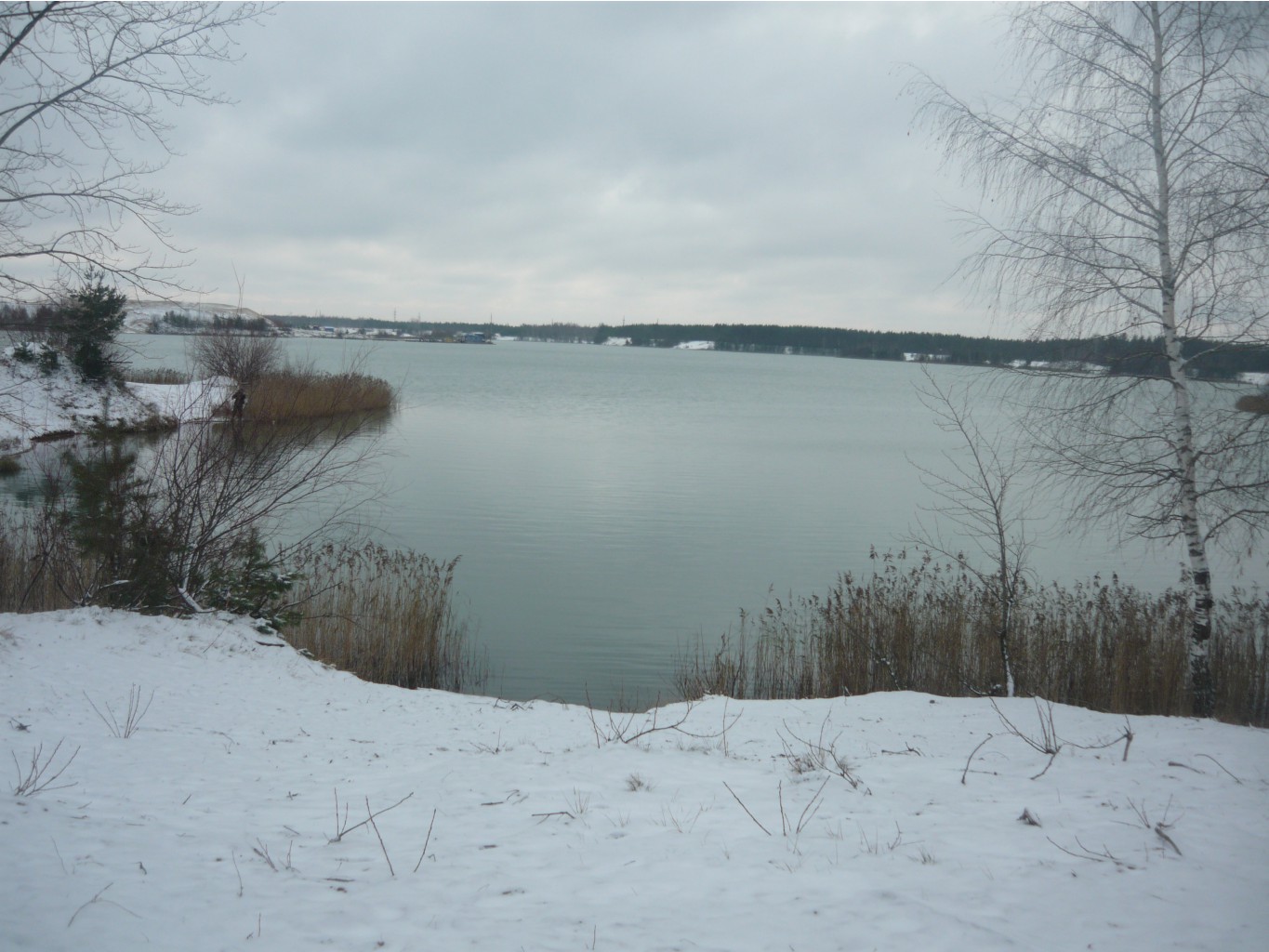 P1290052.JPG