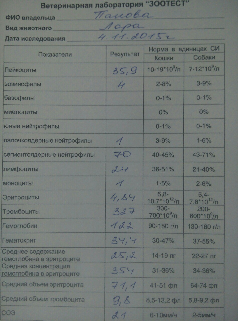 Image-0dc53a77982803899f45aab7a562aa08480a87fc88eeac9541653c9d4e76822f-V.jpg