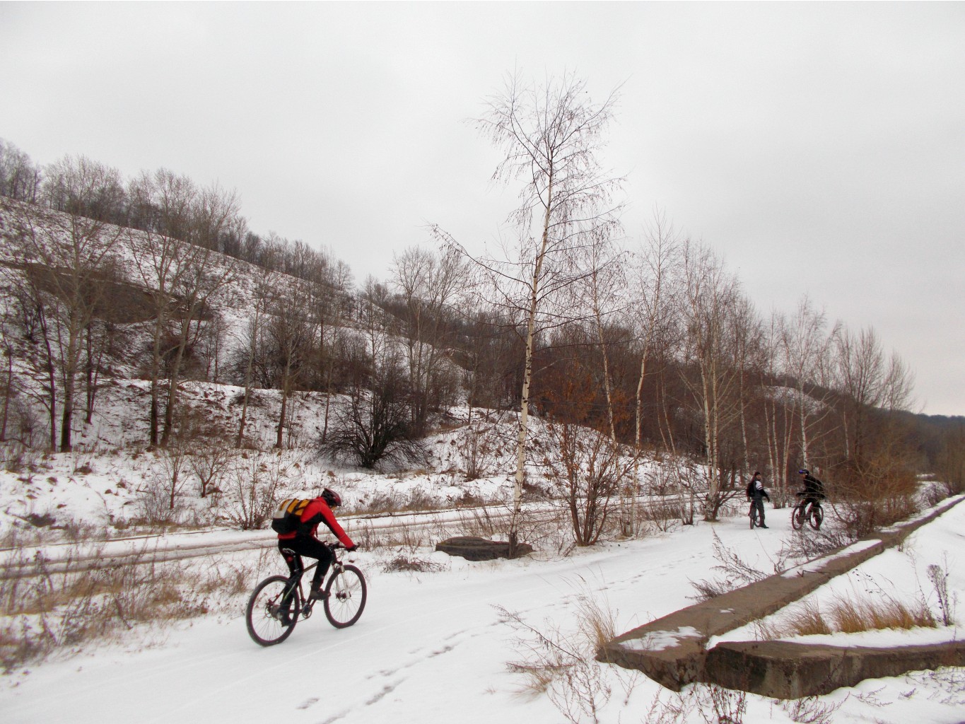 DSCN1781.JPG