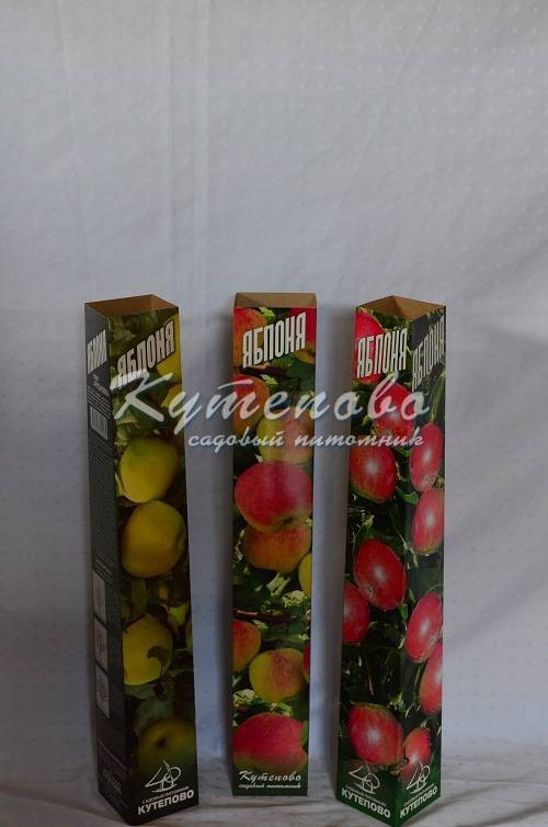 Яблоня  240р