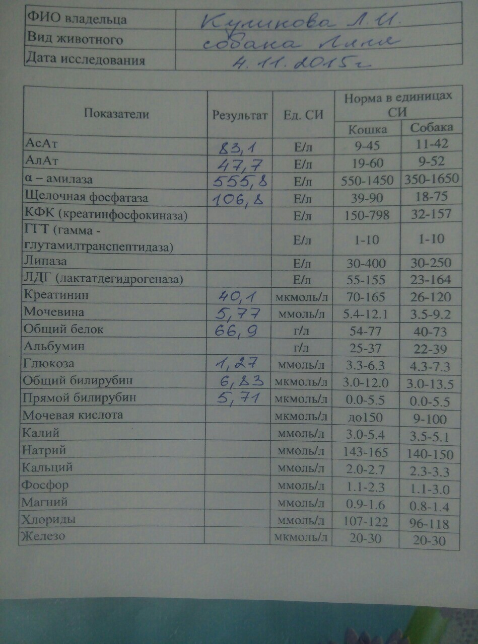 Image-5620aa8720716225a630d732bcdf2596ba3a0023812e8aea16843bfe09b8cfda-V.jpg