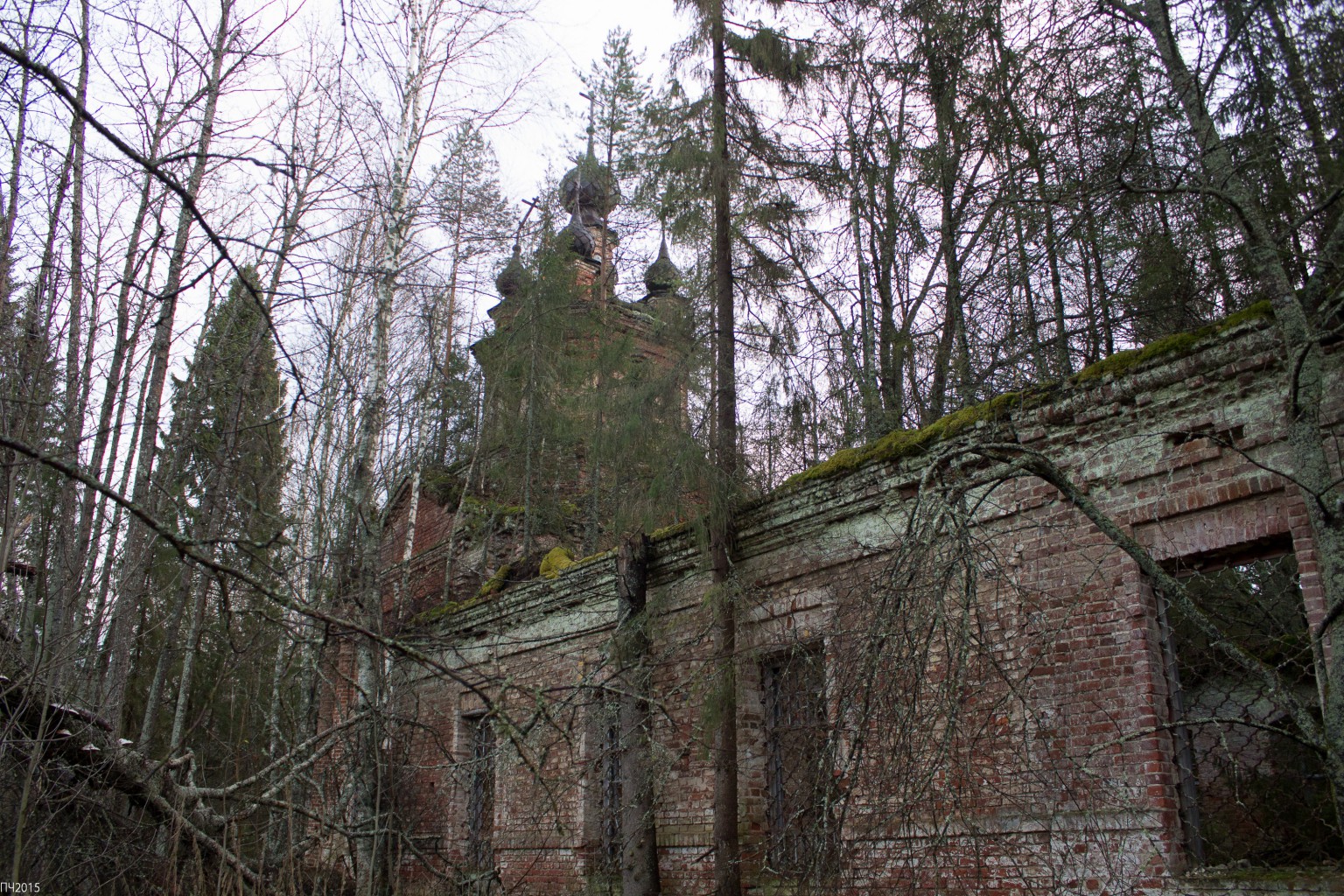 Полная Чухлома 2015-197.jpg