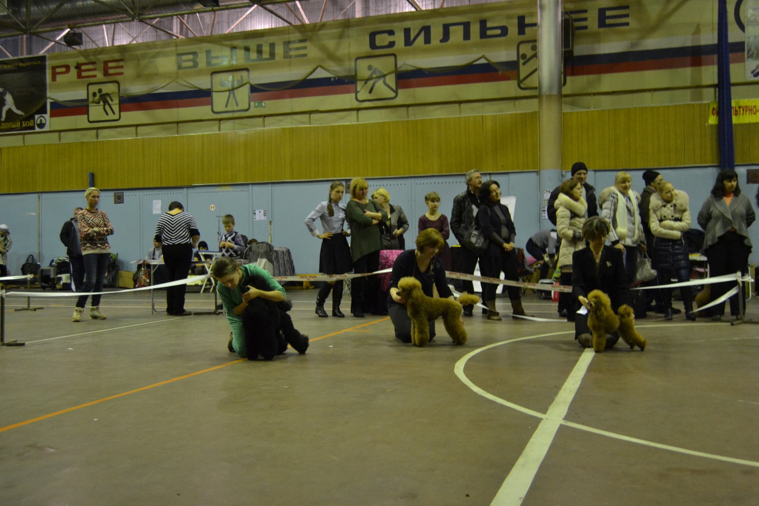 DSC 0879.JPG