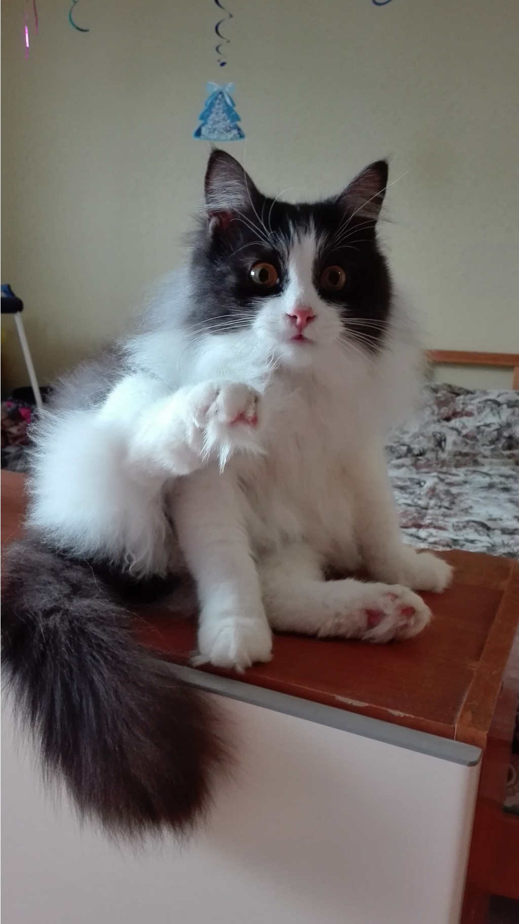 IMG 20151231 113253.jpg