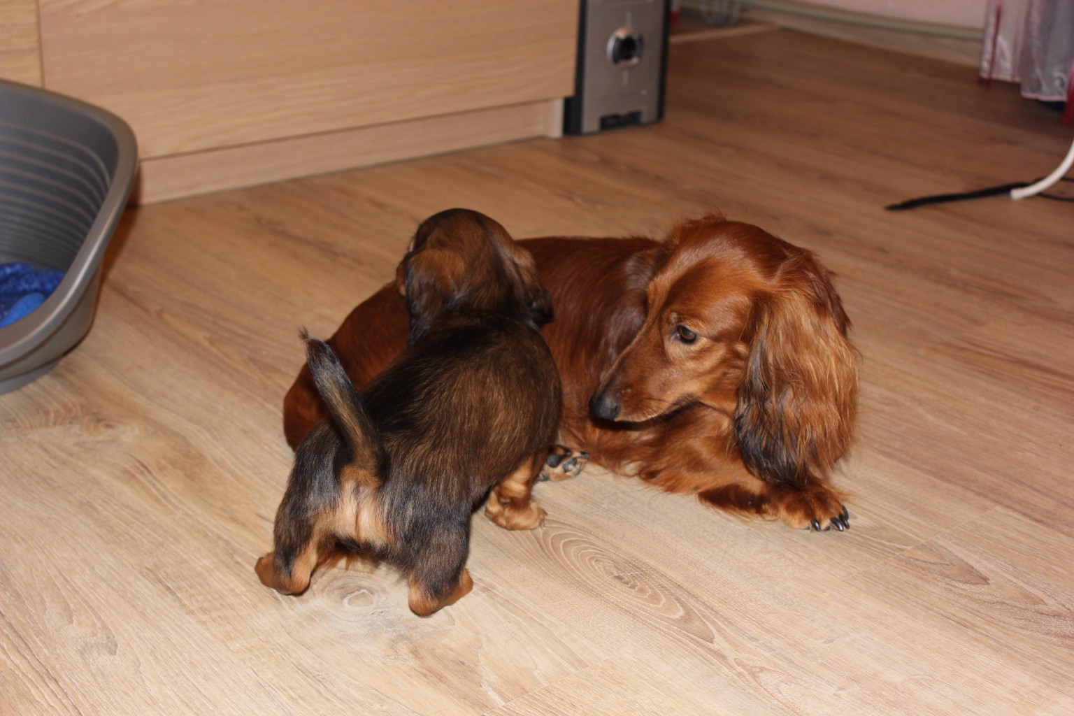 IMG 1843.JPG