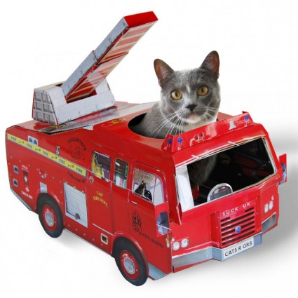     Fire Engine 465 (1550).jpeg