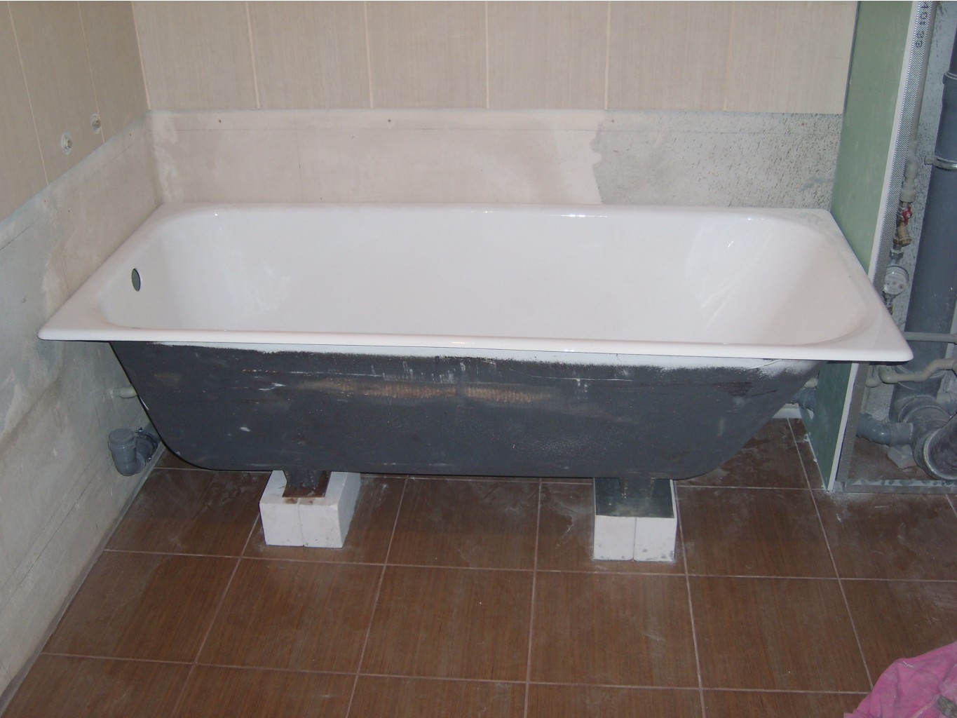 SL279703.JPG