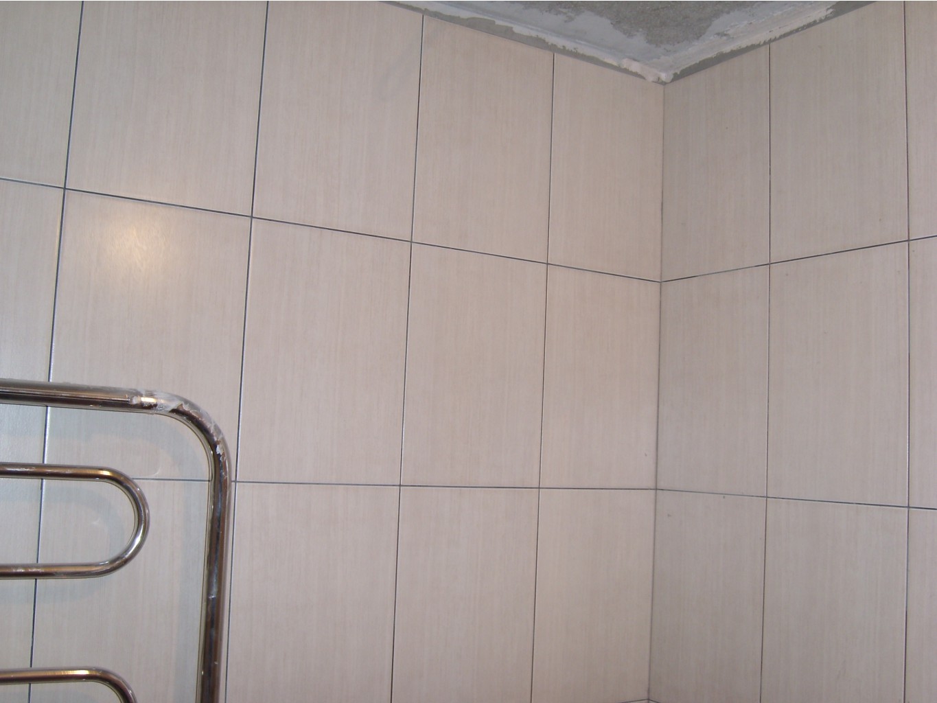 SL279687.JPG