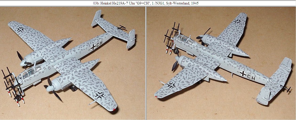 144 F-Toys He.219 a.jpg