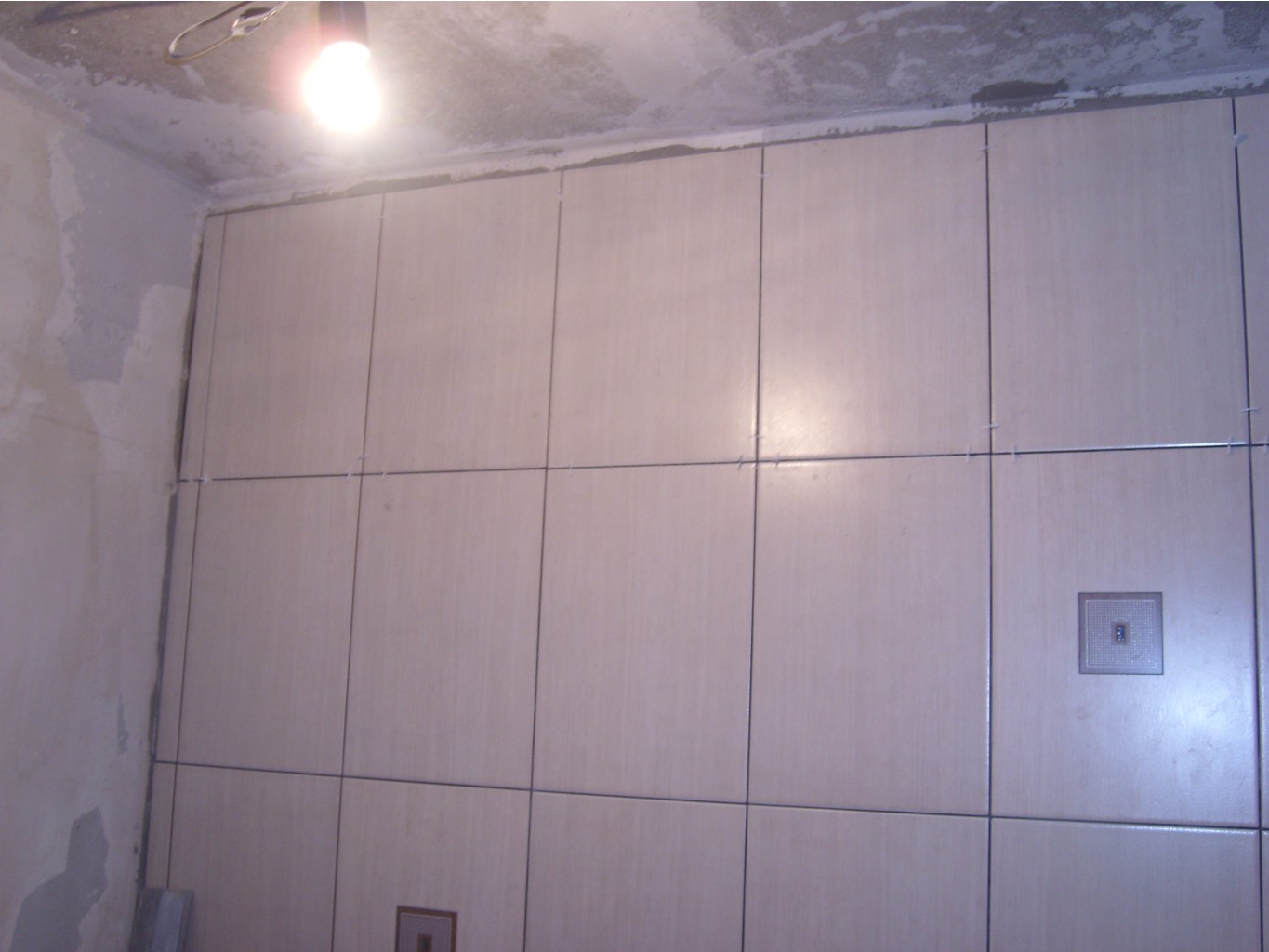SL279651.JPG