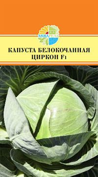 КАПУСТА БЕЛОКОЧАННАЯ ЦИРКОН F1 29.90+%