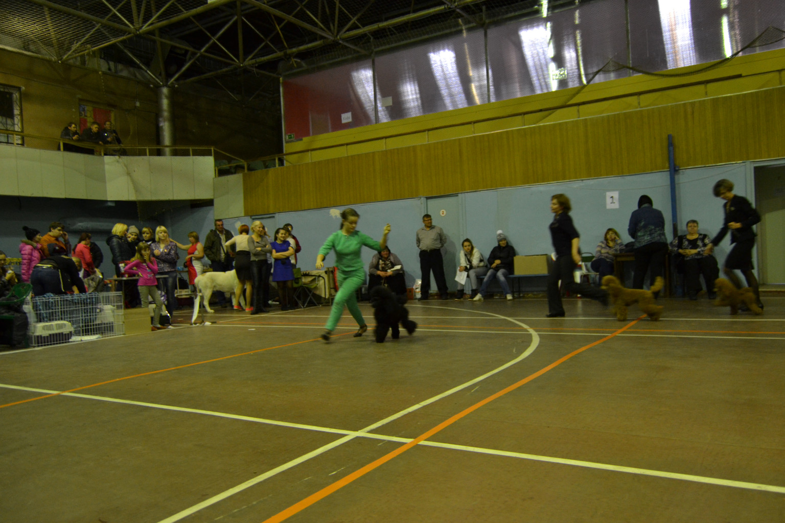 DSC 0873.JPG